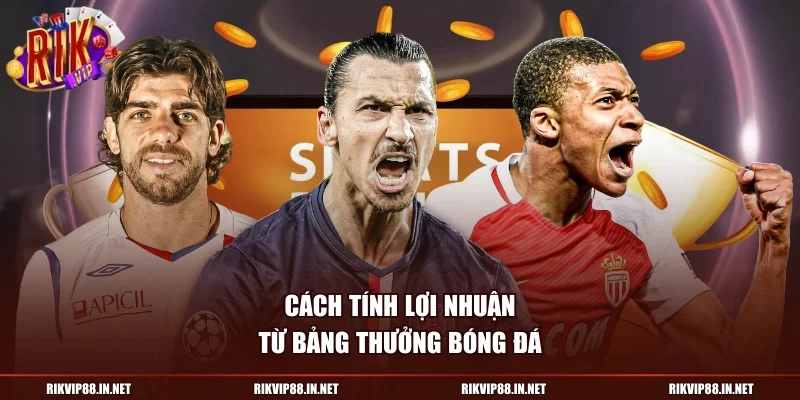 Cách tính lợi nhuận từ bảng thưởng bóng đá