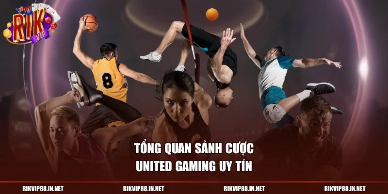 Tổng quan sảnh cược United Gaming uy tín